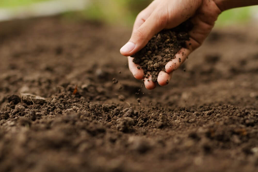 اهمیت مواد آلی خاک در تغذیه گیاهان
