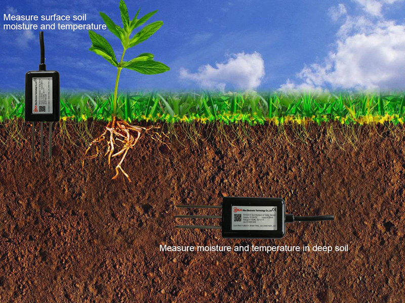 اهمیت ec خاک و نقش آن در جذب مواد غذایی