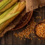 7 ترکیب طلایی بذرمال ذرت برای افزایش عملکرد محصول در سال 1403