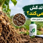 چرا نماتدکش اثر نمی‌کند؟ ۷ دلیل شکست در کنترل نماتد + راهکار